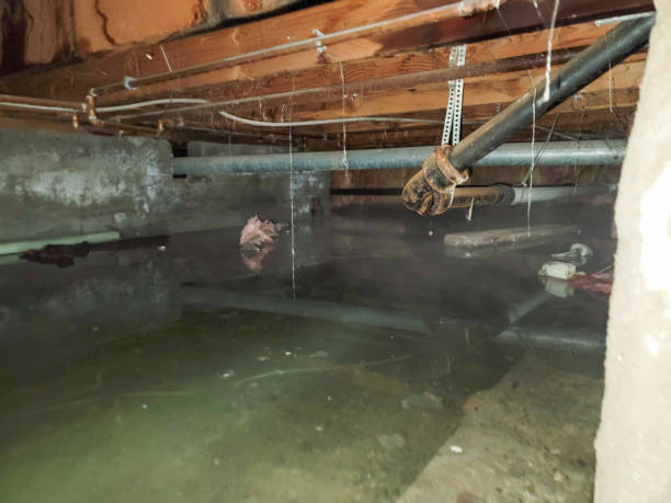 Best 24/7 water damage repair  in Fort Lauderdale, FL
