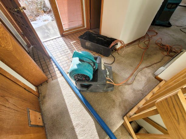 Best Basement water damage restoration  in Fort Lauderdale, FL