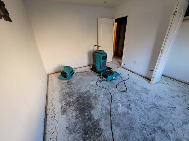 Best Commercial water damage restoration  in Fort Lauderdale, FL