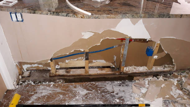 Best Water damage mitigation services  in Fort Lauderdale, FL