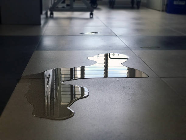 Best Water damage cleanup near me  in Fort Lauderdale, FL
