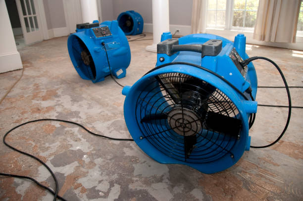 Best Water damage cleanup near me  in Fort Lauderdale, FL