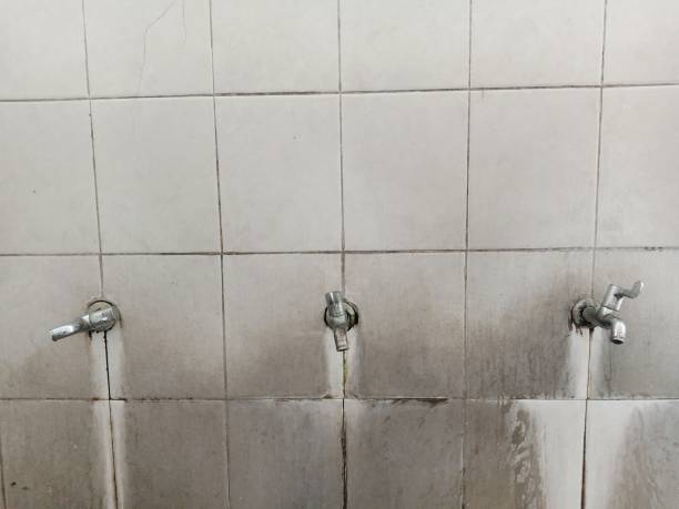 Best Emergency water damage restoration  in Fort Lauderdale, FL