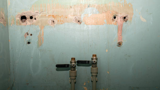 Local water damage restoration in FL