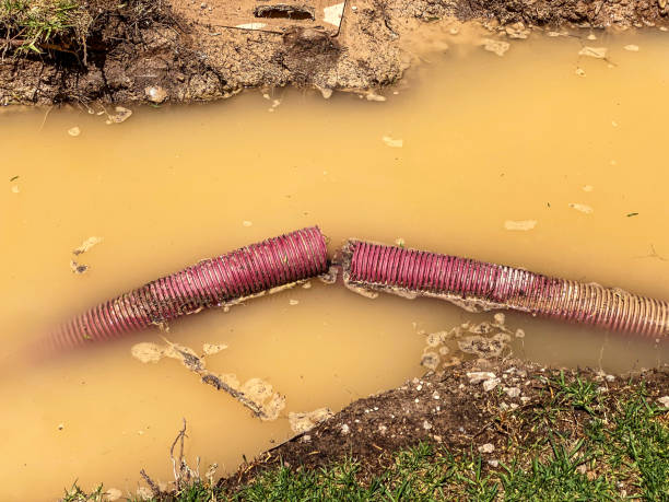Best Water damage contractors near me  in Fort Lauderdale, FL