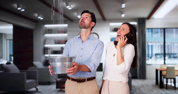 Best 24-hour water damage restoration  in Fort Lauderdale, FL