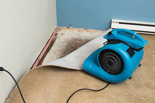 Best Water damage restoration near me  in Fort Lauderdale, FL